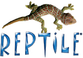 reptile eyeglasses reptile sunglases