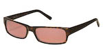 reptile sunglasses and reptile eyeglasses and reptile frames